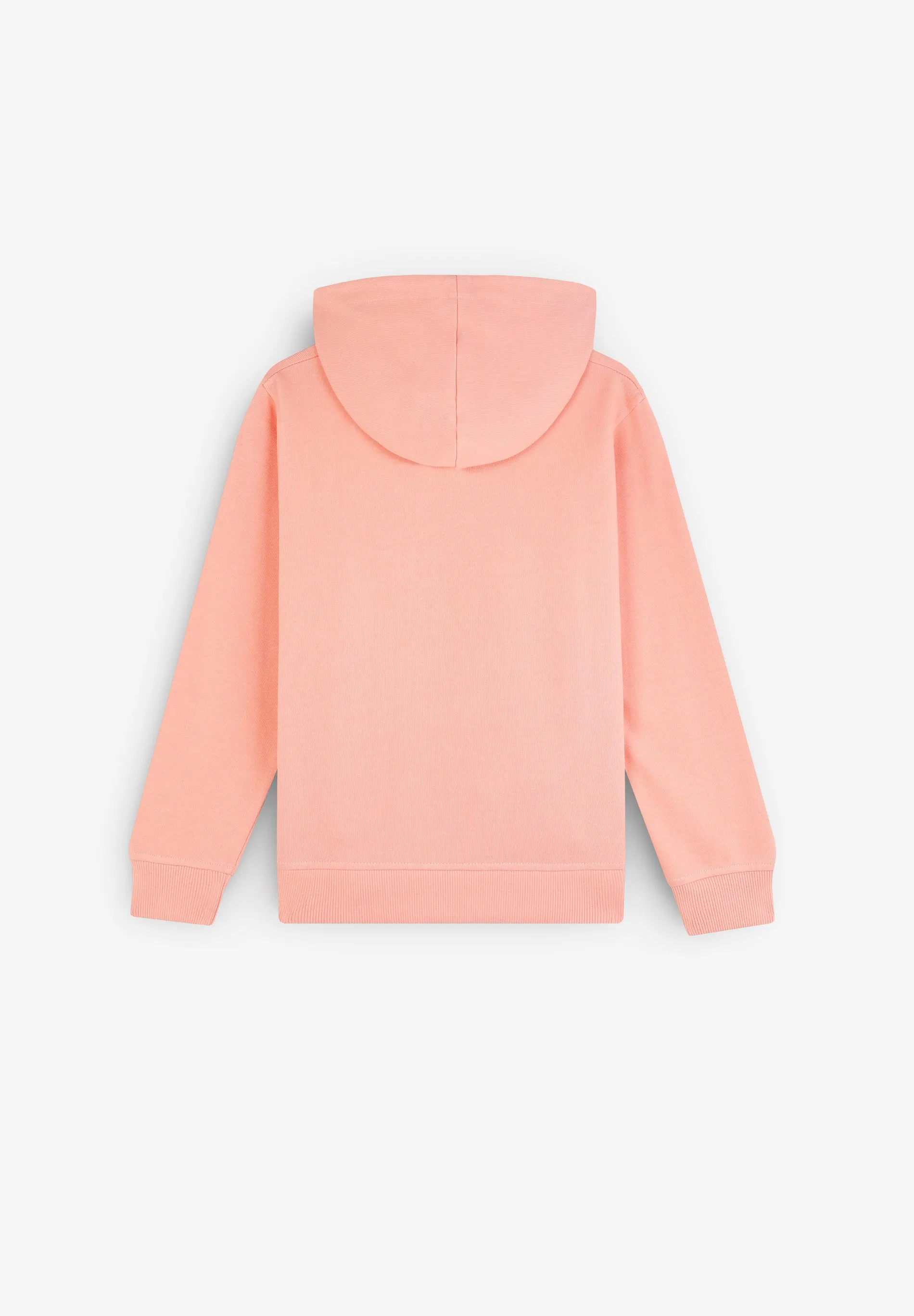 SUDADERA CAPUCHA PRINT DELANTERO